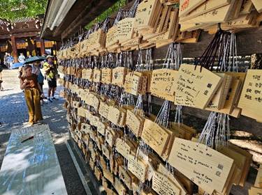 A group of wooden plaques on a wall

AI-generated content may be incorrect.
