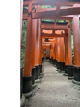 A path with red pillars

AI-generated content may be incorrect.