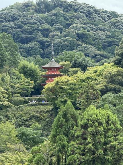 A pagoda in the middle of a forest

AI-generated content may be incorrect.