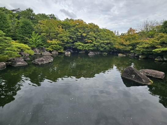 A body of water with trees and rocks

AI-generated content may be incorrect.