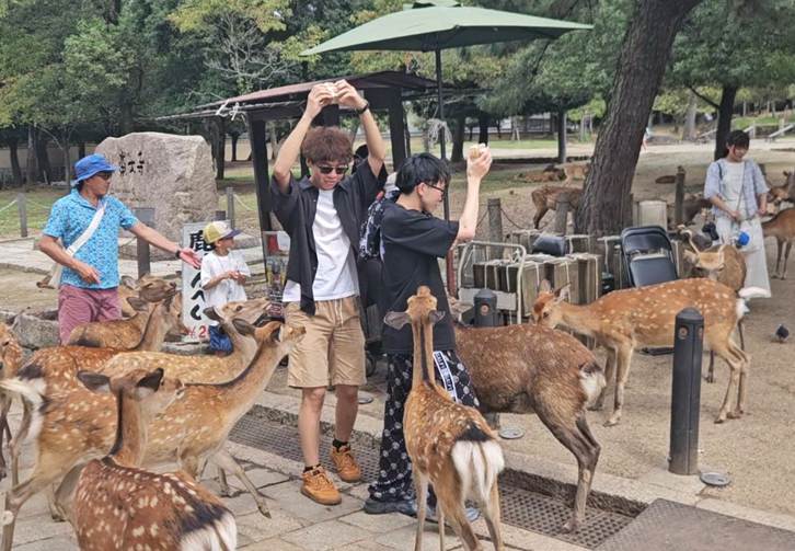A group of people standing next to a group of deer

AI-generated content may be incorrect.
