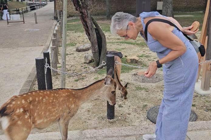 A person feeding a deer

AI-generated content may be incorrect.