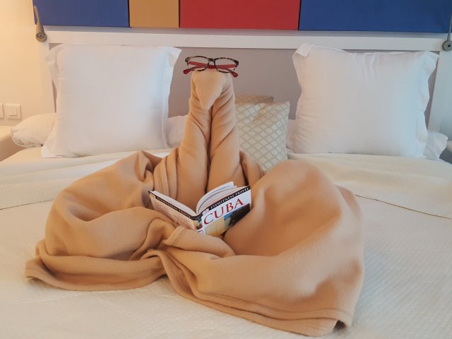 The maid's bed present, first night