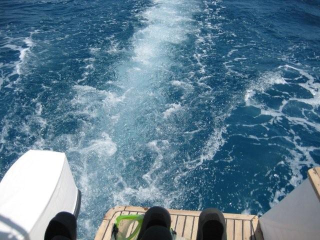 View from the back of the snorkelling boat