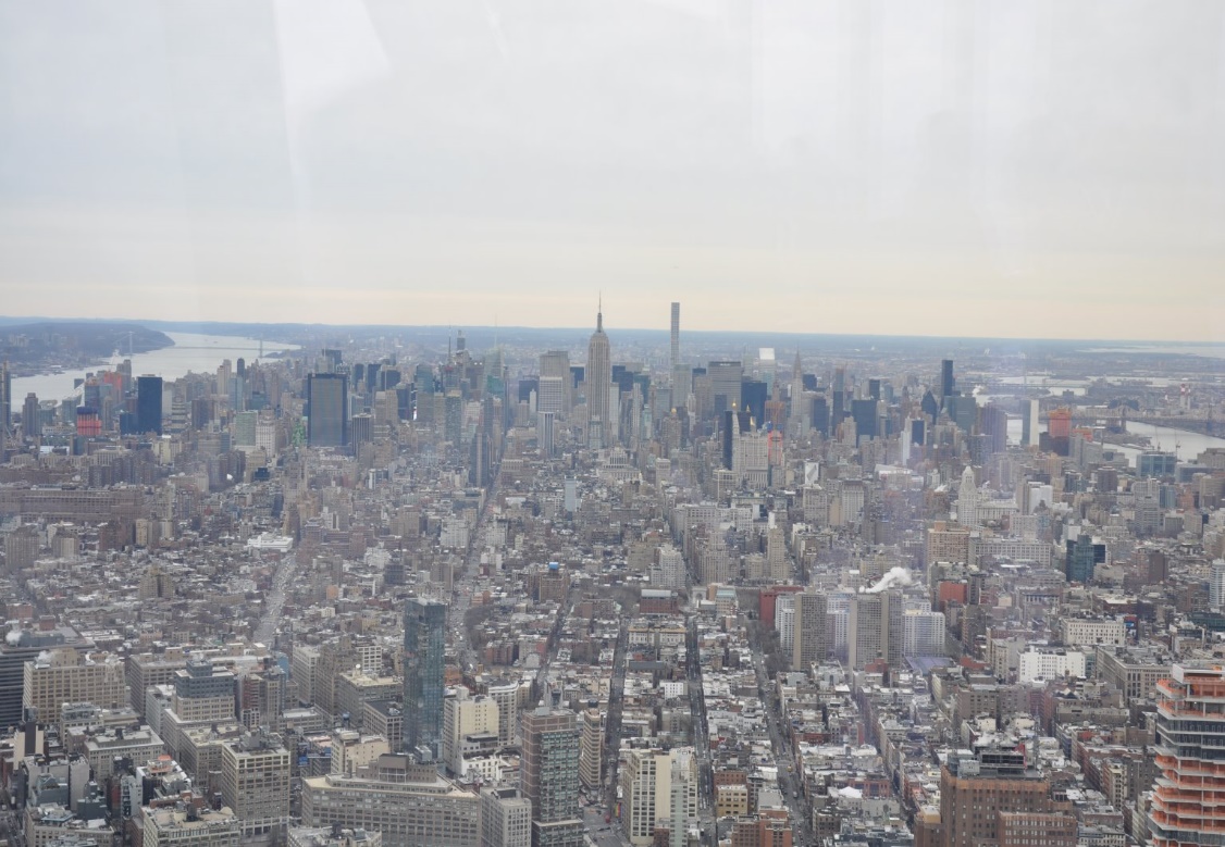 View from the Freedom Tower observatory