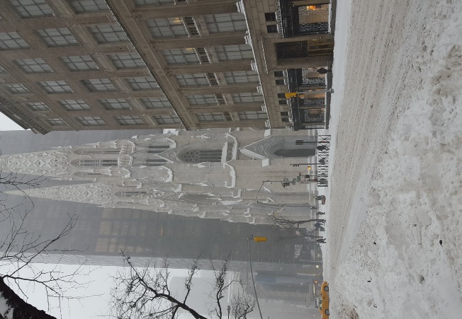 Hunkered down during the blizzard