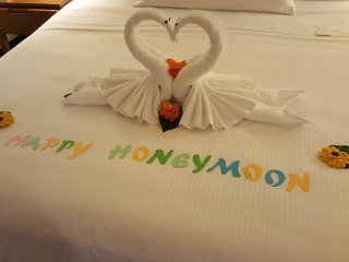 A surprise waiting in our room