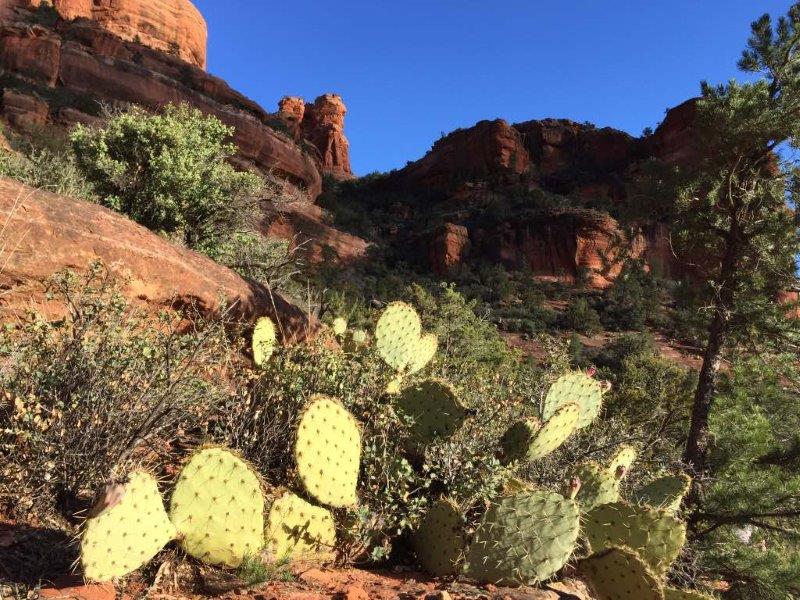 The Boynton Trail near Sedona