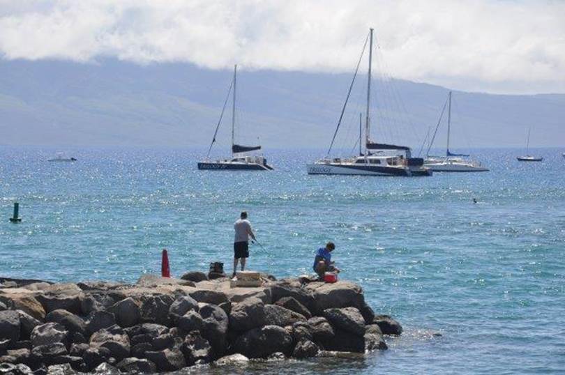 Whale watching boat trip off Maui