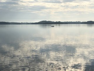 Our whale-spotting flight