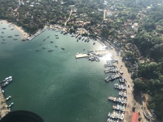 A whale spotted from the plane