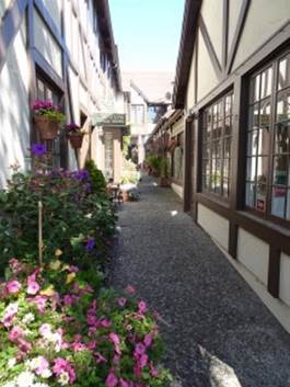 A picture containing flower, porch

Description automatically generated