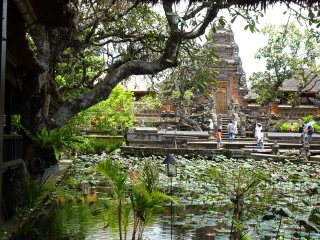 The Water Palace and lily pond in Ubud