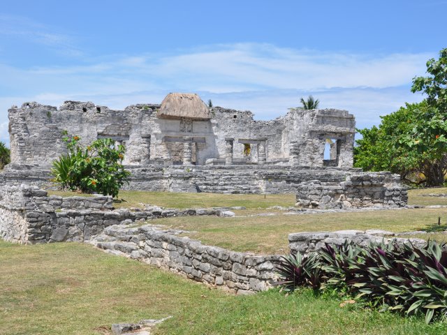 One of the iguanas at Tulum