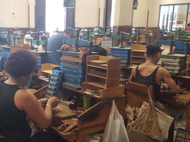 Inside the cigar factory in Havana
