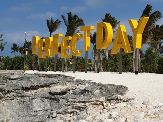 Perfect Day
