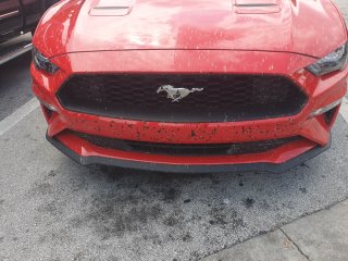 Collecting bugs on the freeway