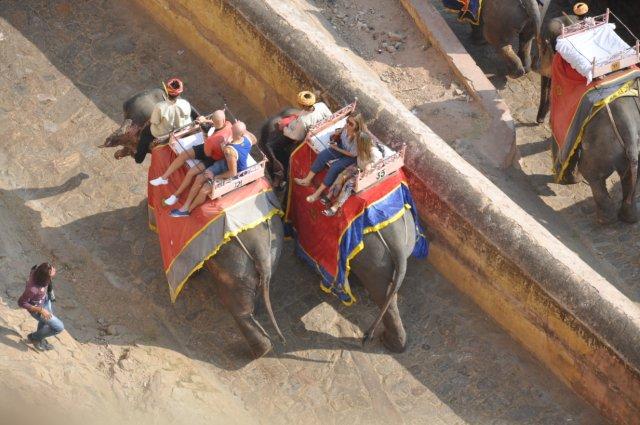 Touring Jaipur