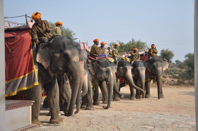 Sightseeing in Jaipur