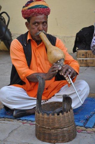 Sightseeing in Jaipur