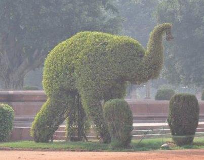 More sights from Jaipur and Goa