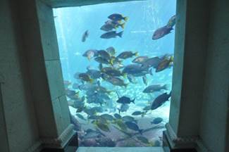 Around the Atlantis resort