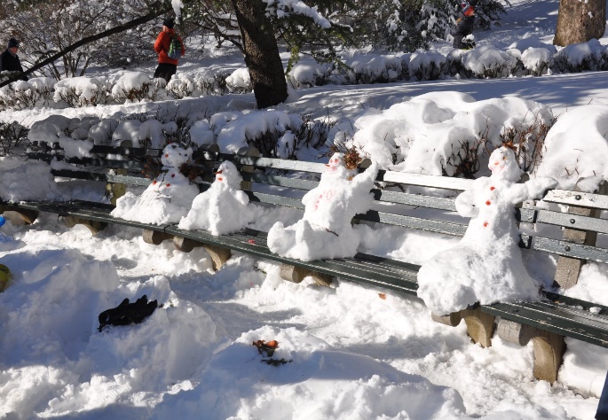 Kids sledding in Central Park
