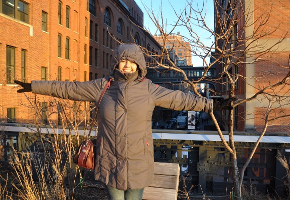 The Highline walkway in New York