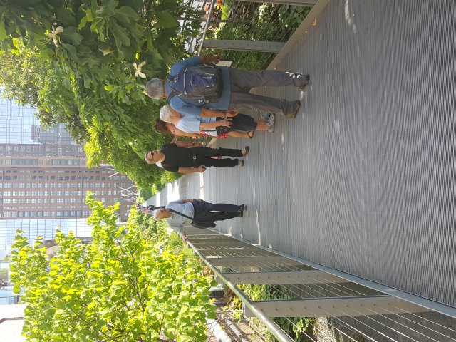 The High Line in New York