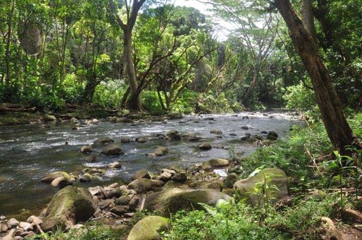 Wading across a river in Kauai
