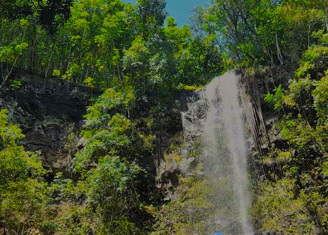 Hikers near the waterfall in Kauai