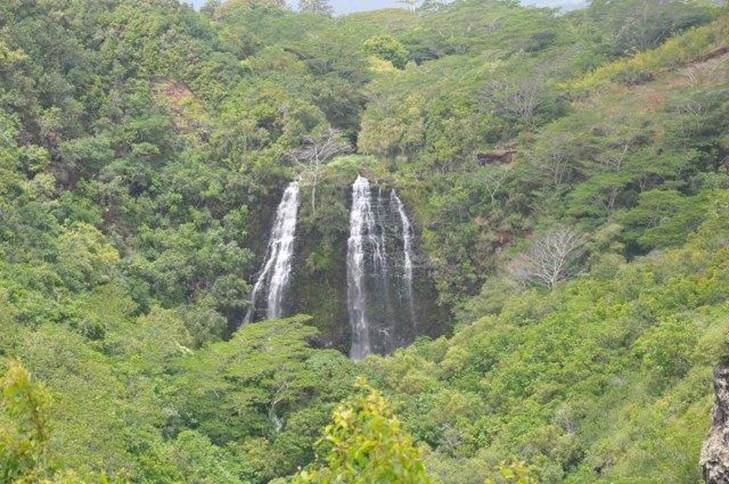 The waterfall in Kauai