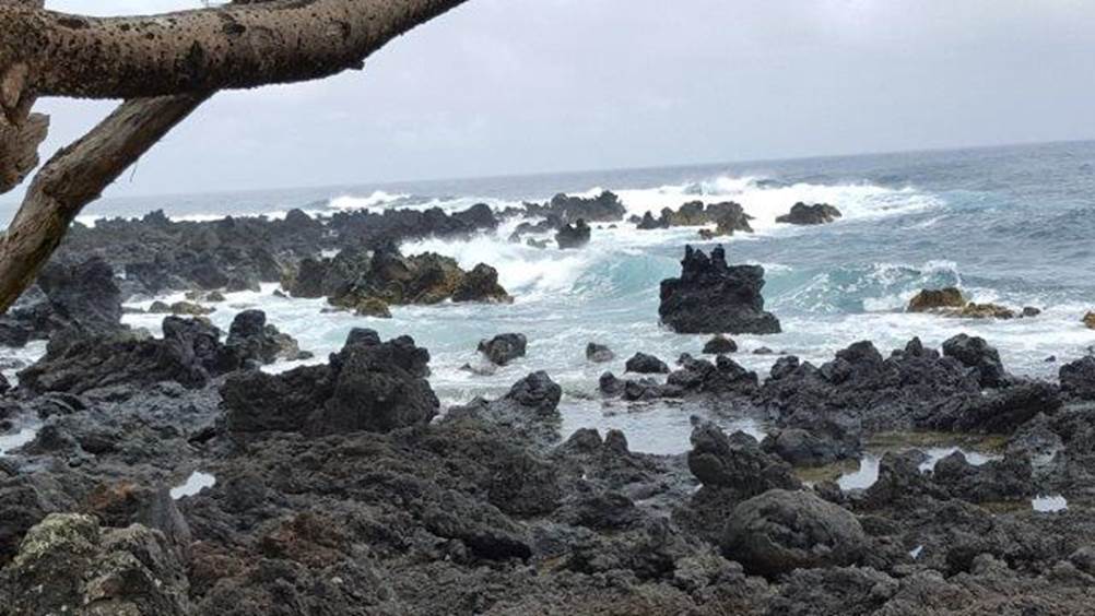 The road to Hana, Maui