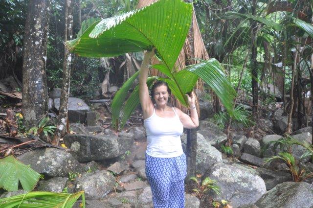 The waterfall on Mahe, Seychelles