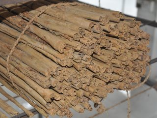 The Gradely Estate cinnamon plantation