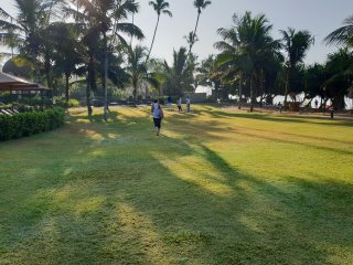 The hotel lawn in Weligama