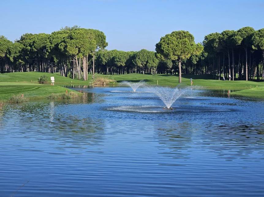 A pond with water fountains and trees

AI-generated content may be incorrect.
